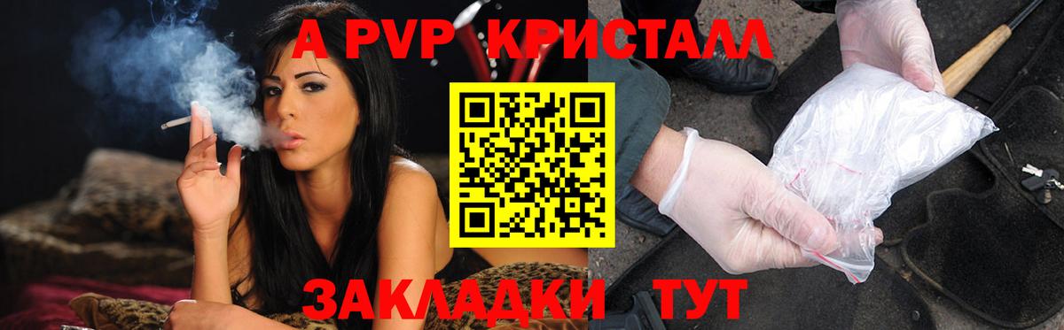 Коряжма  A-PVP  Alfa_PVP СК КРИС  Вход с VPN  A PVP крисы CK 