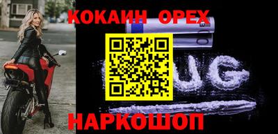 бошки Кингисепп