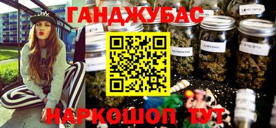 бошки Кингисепп
