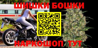 бошки Кингисепп
