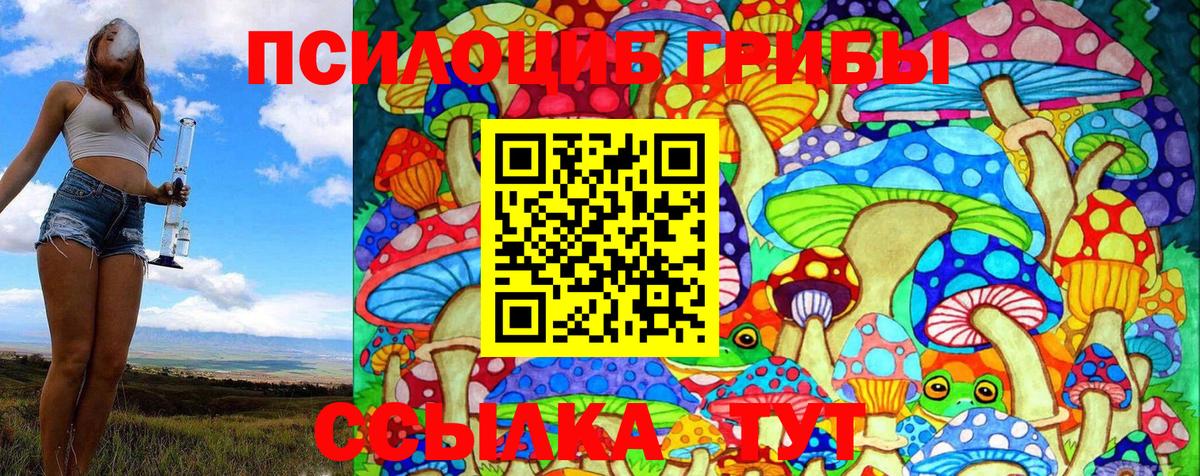 Галлюциногенные грибы Psilocybe  Псилоцибиновые грибы Magic Shrooms  Вход с VPN  Коряжма 